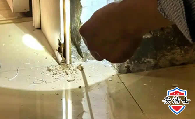 宁波房屋建筑防治白蚁