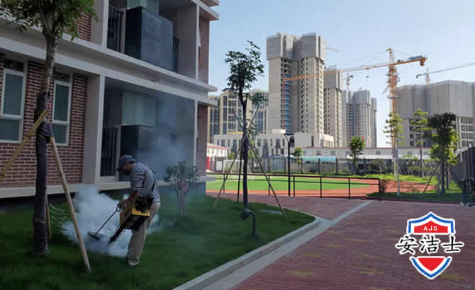 宁波工厂工地除白蚁