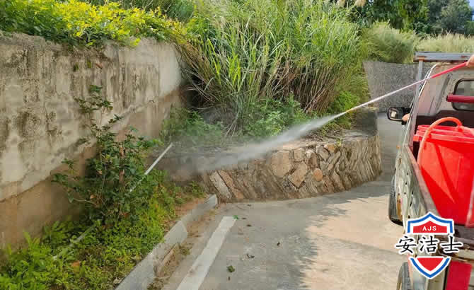 宁波道路堤坝白蚁防治