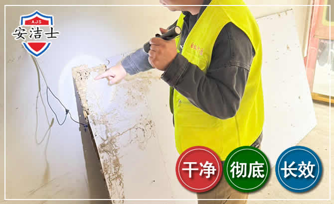 宁波除白蚁现场