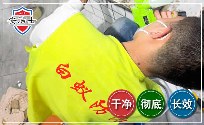 宁波白蚁根治现场